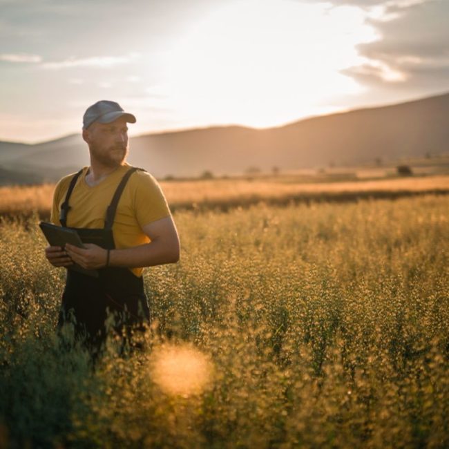 Aladin.farm Metrixx Accompagnement SEA Data